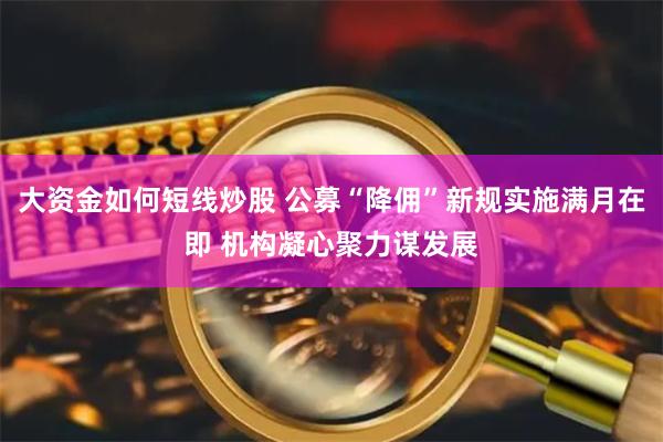 大资金如何短线炒股 公募“降佣”新规实施满月在即 机构凝心聚力谋发展