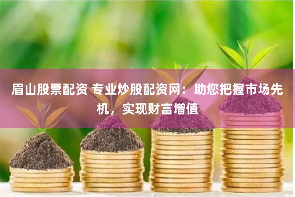 眉山股票配资 专业炒股配资网：助您把握市场先机，实现财富增值